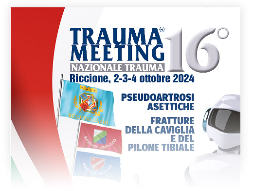 TRAUMA MEETING 2024